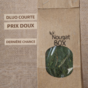 ⏳ Dernière chance