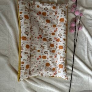 coussin grenouille balade des minis animaux