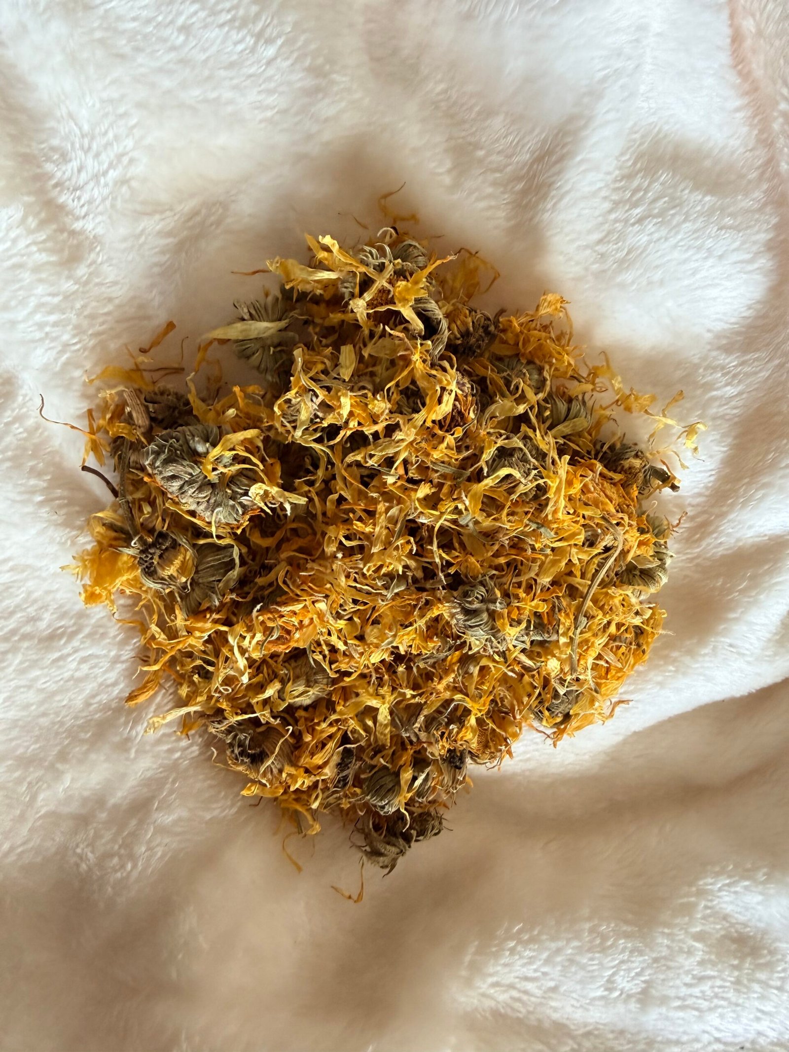 fleur de souci fleur de souci