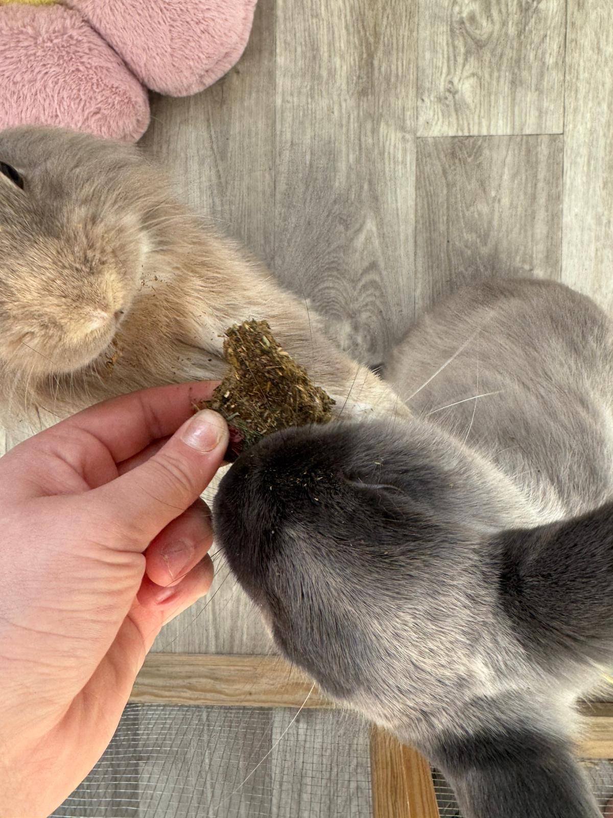 ece40bb5 cf60 458e 8c45 d5c0d38b870e