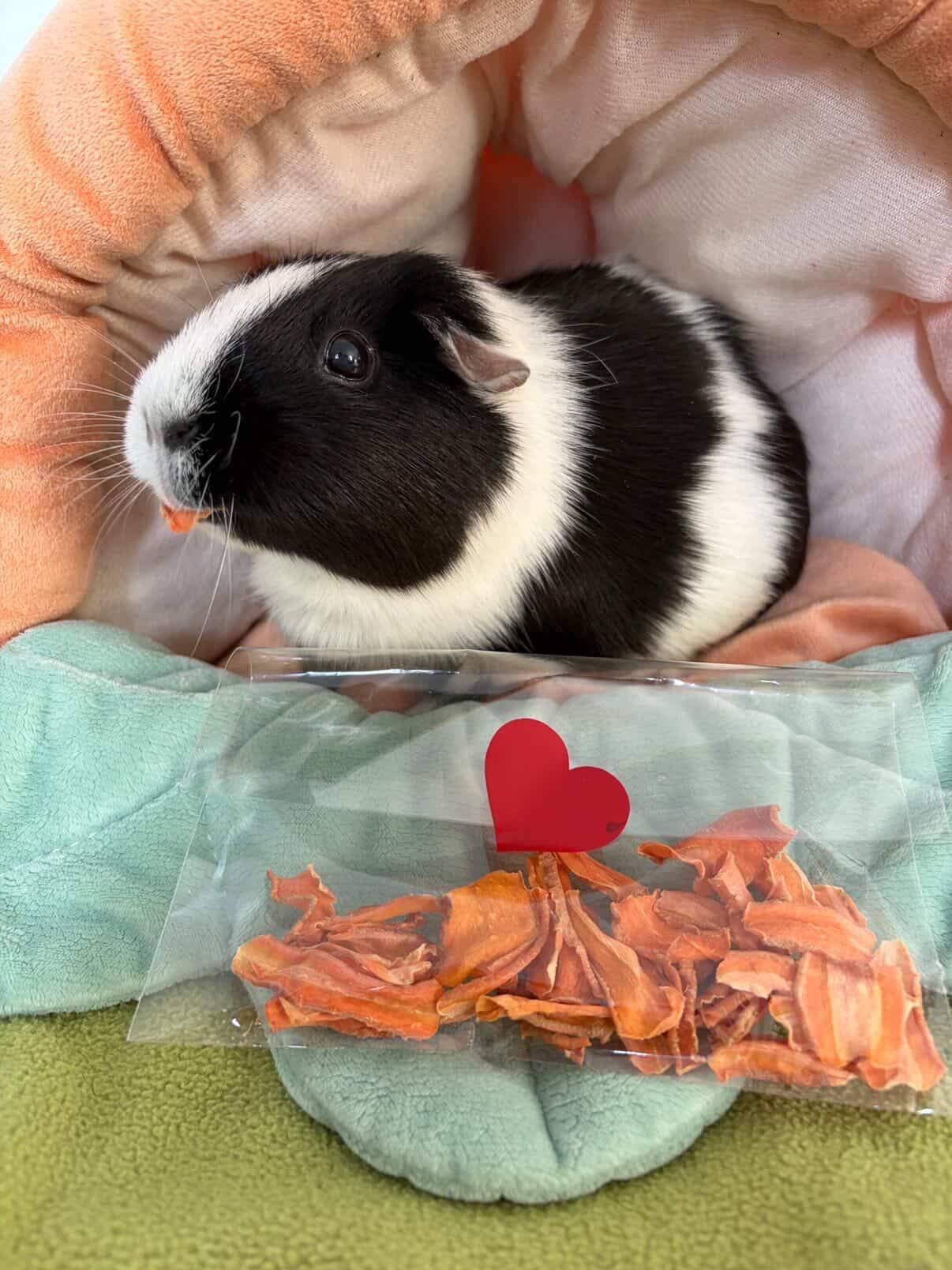 4ab41c5c 903f 46f2 8b23 1d59a4461d28