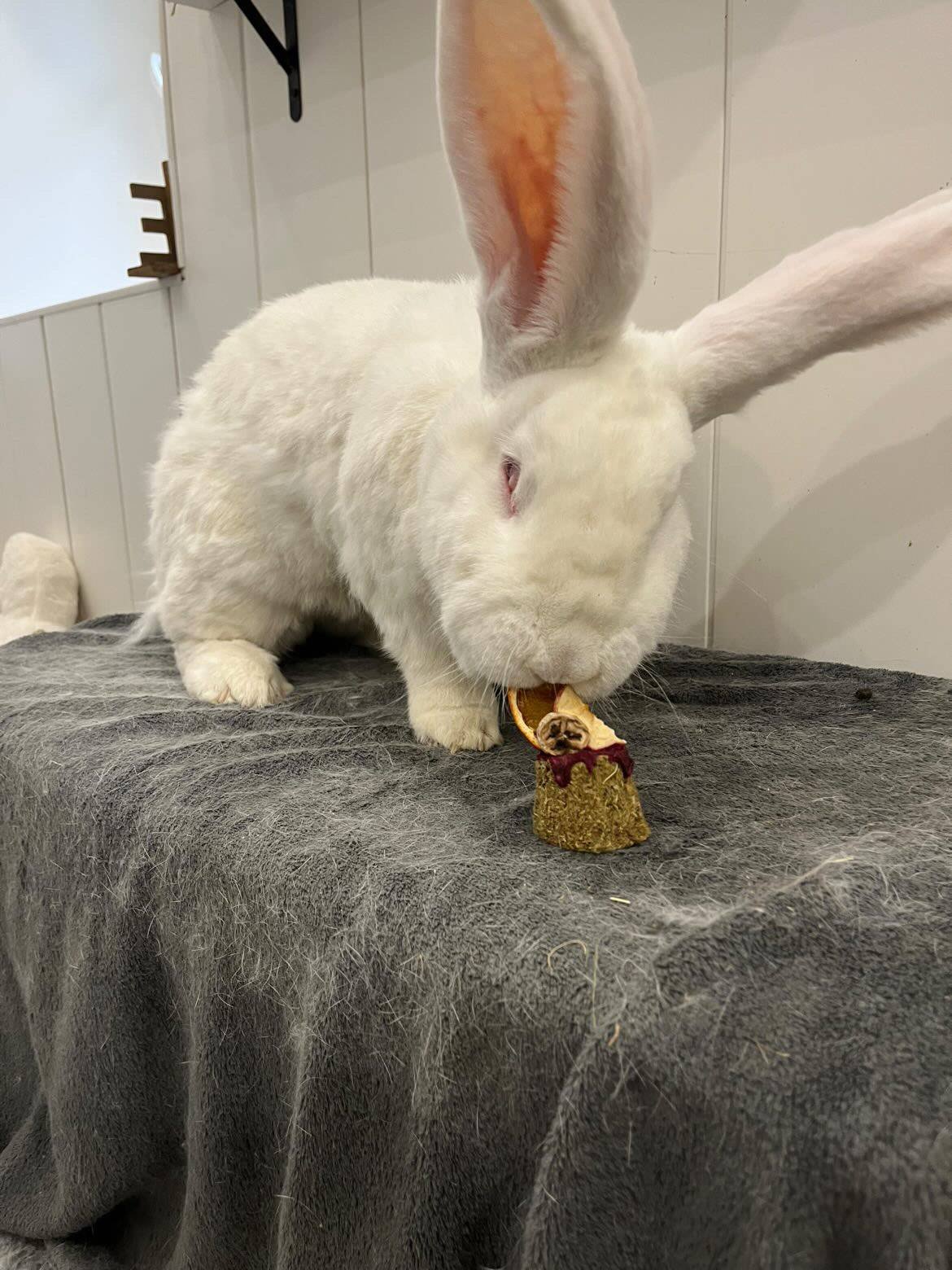 e73c9296 a2b3 4546 9b06 e894087b9fba (1)