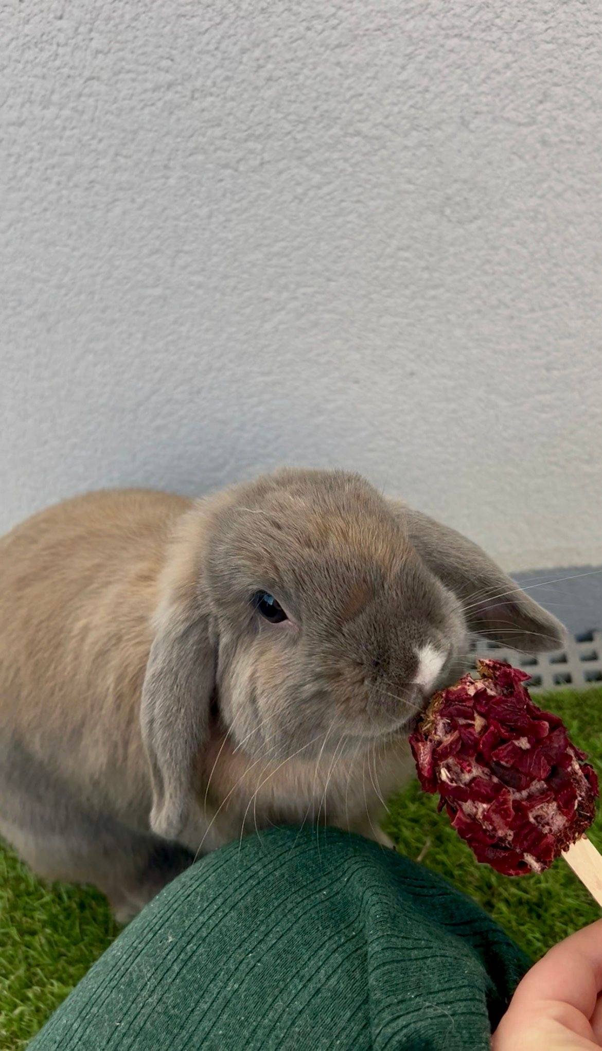 baab8372 85f6 4bd2 ac7a 17121a57d236